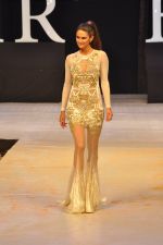 Model walk the ramp for Shane & Falguni Show at IRFW 2012 in Goa on 1st Dec 2012 (65).JPG